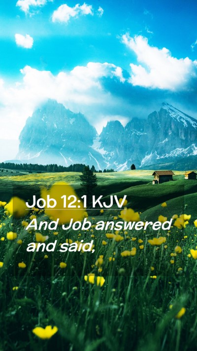 Picture 02 - Job 12:1 KJV Mobile Phone Wallpaper - And Job answered and - Mobile Bible Verse Wallpaper
