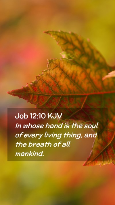 Picture 02 - Job 12:10 KJV Mobile Phone Wallpaper - In whose hand is the soul of every living thing, - Mobile Bible Verse Wallpaper