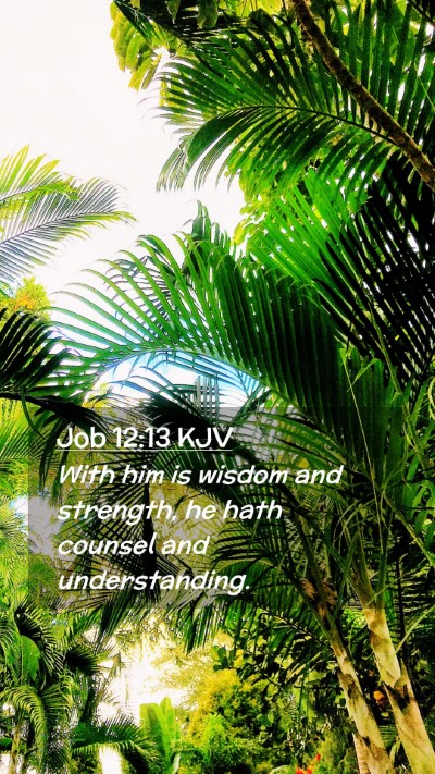 Picture 02 - Job 12:13 KJV Mobile Phone Wallpaper - With him is wisdom and strength, he hath counsel - Mobile Bible Verse Wallpaper