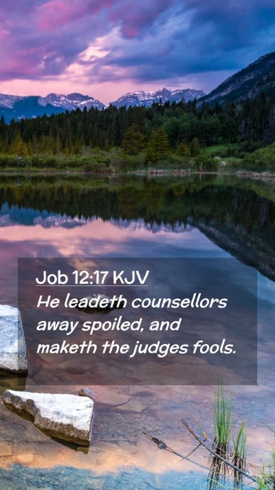 Picture 02 - Job 12:17 KJV Mobile Phone Wallpaper - He leadeth counsellors away spoiled, and maketh - Mobile Bible Verse Wallpaper