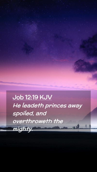 Picture 02 - Job 12:19 KJV Mobile Phone Wallpaper - He leadeth princes away spoiled, and overthroweth - Mobile Bible Verse Wallpaper