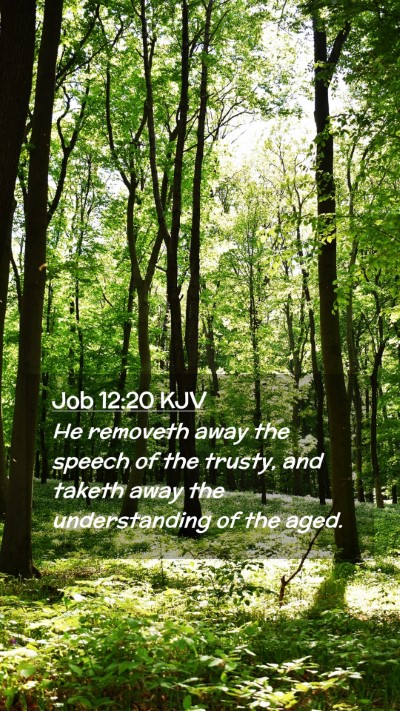 Picture 02 - Job 12:20 KJV Mobile Phone Wallpaper - He removeth away the speech of the trusty, and - Mobile Bible Verse Wallpaper