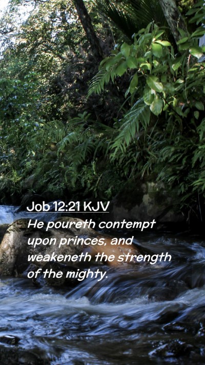 Picture 02 - Job 12:21 KJV Mobile Phone Wallpaper - He poureth contempt upon princes, and weakeneth - Mobile Bible Verse Wallpaper