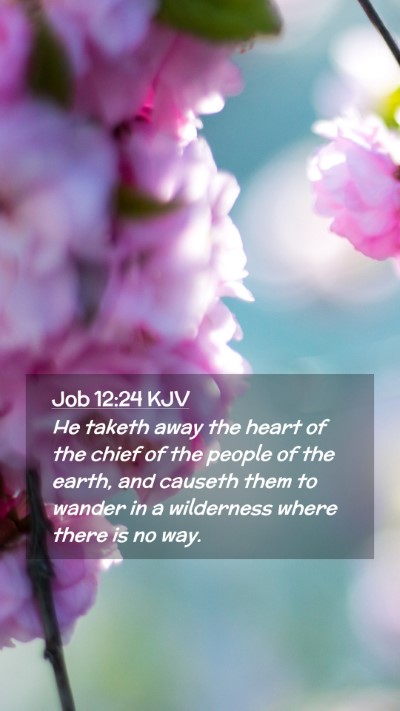 Picture 02 - Job 12:24 KJV Mobile Phone Wallpaper - He taketh away the heart of the chief of the - Mobile Bible Verse Wallpaper