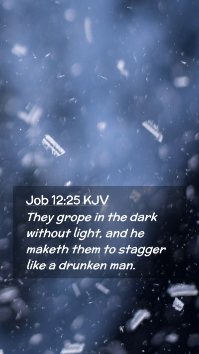 Picture 02 - Job 12:25 KJV Mobile Phone Wallpaper - They grope in the dark without light, and he - Mobile Bible Verse Wallpaper