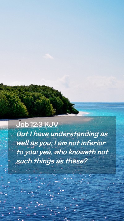 Picture 02 - Job 12:3 KJV Mobile Phone Wallpaper - But I have understanding as well as you; I am not - Mobile Bible Verse Wallpaper