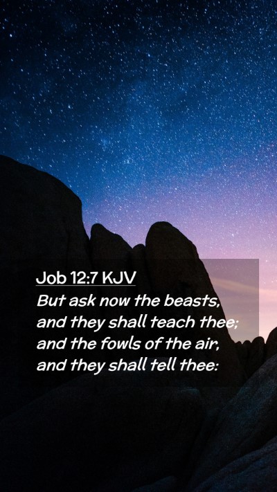 Picture 02 - Job 12:7 KJV Mobile Phone Wallpaper - But ask now the beasts, and they shall teach - Mobile Bible Verse Wallpaper
