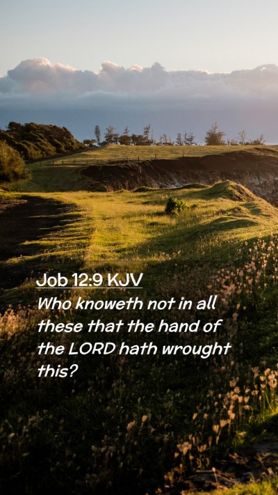 Picture 02 - Job 12:9 KJV Mobile Phone Wallpaper - Who knoweth not in all these that the hand of the - Mobile Bible Verse Wallpaper