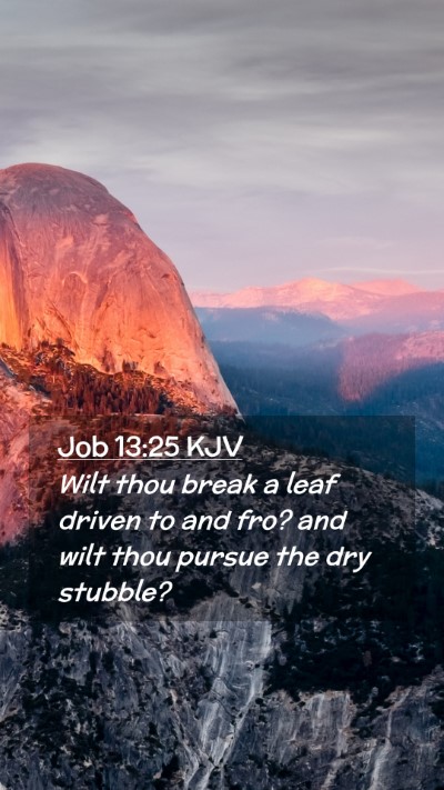 Picture 02 - Job 13:25 KJV Mobile Phone Wallpaper - Wilt thou break a leaf driven to and fro? and - Mobile Bible Verse Wallpaper