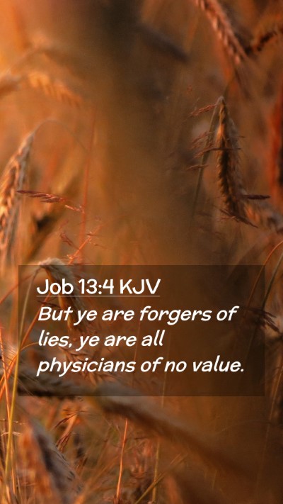 Picture 02 - Job 13:4 KJV Mobile Phone Wallpaper - But ye are forgers of lies, ye are all physicians - Mobile Bible Verse Wallpaper