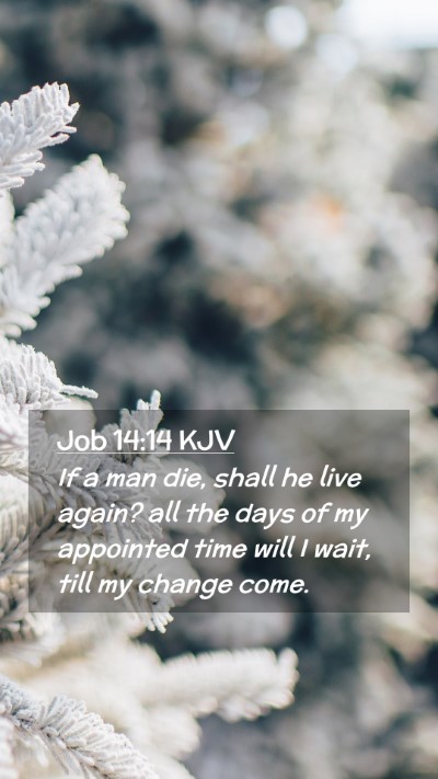 Picture 02 - Job 14:14 KJV Mobile Phone Wallpaper - If a man die, shall he live again? all the days - Mobile Bible Verse Wallpaper