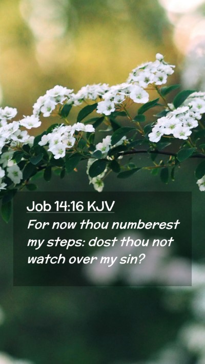 Picture 02 - Job 14:16 KJV Mobile Phone Wallpaper - For now thou numberest my steps: dost thou not - Mobile Bible Verse Wallpaper