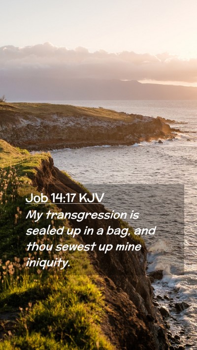 Picture 02 - Job 14:17 KJV Mobile Phone Wallpaper - My transgression is sealed up in a bag, and thou - Mobile Bible Verse Wallpaper