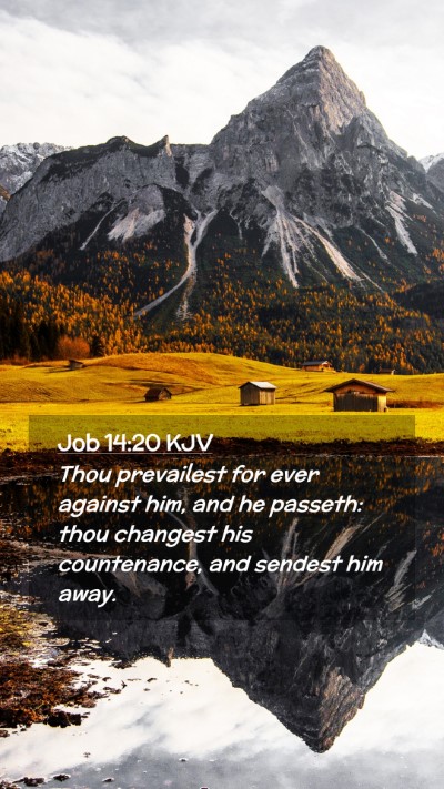 Picture 02 - Job 14:20 KJV Mobile Phone Wallpaper - Thou prevailest for ever against him, and he - Mobile Bible Verse Wallpaper