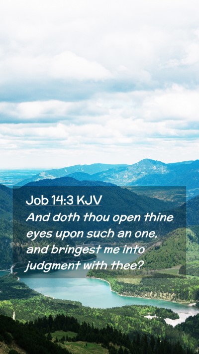 Picture 02 - Job 14:3 KJV Mobile Phone Wallpaper - And doth thou open thine eyes upon such an one, - Mobile Bible Verse Wallpaper