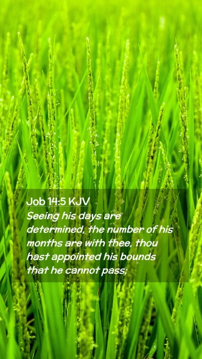 Picture 02 - Job 14:5 KJV Mobile Phone Wallpaper - Seeing his days are determined, the number of his - Mobile Bible Verse Wallpaper