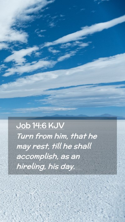 Picture 02 - Job 14:6 KJV Mobile Phone Wallpaper - Turn from him, that he may rest, till he shall - Mobile Bible Verse Wallpaper