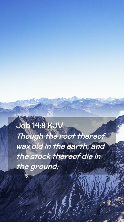 Picture 02 - Job 14:8 KJV Mobile Phone Wallpaper - Though the root thereof wax old in the earth, and - Mobile Bible Verse Wallpaper