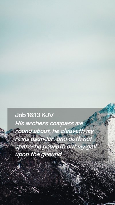 Picture 02 - Job 16:13 KJV Mobile Phone Wallpaper - His archers compass me round about, he cleaveth - Mobile Bible Verse Wallpaper