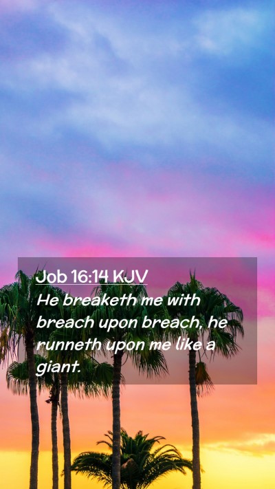 Picture 02 - Job 16:14 KJV Mobile Phone Wallpaper - He breaketh me with breach upon breach, he - Mobile Bible Verse Wallpaper