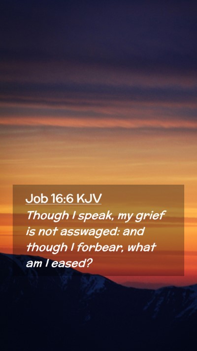 Picture 02 - Job 16:6 KJV Mobile Phone Wallpaper - Though I speak, my grief is not asswaged: and - Mobile Bible Verse Wallpaper
