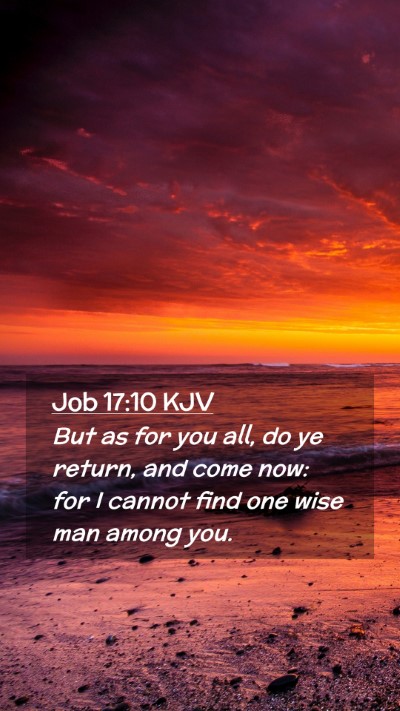 Picture 02 - Job 17:10 KJV Mobile Phone Wallpaper - But as for you all, do ye return, and come now: - Mobile Bible Verse Wallpaper