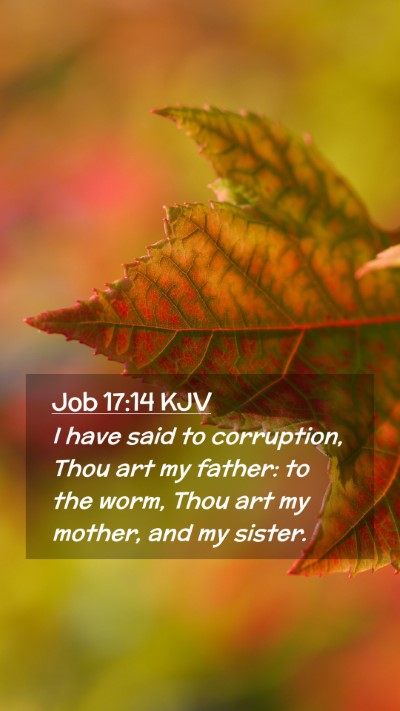 Picture 02 - Job 17:14 KJV Mobile Phone Wallpaper - I have said to corruption, Thou art my father: to - Mobile Bible Verse Wallpaper