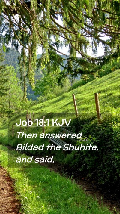 Picture 02 - Job 18:1 KJV Mobile Phone Wallpaper - Then answered Bildad the Shuhite, and - Mobile Bible Verse Wallpaper