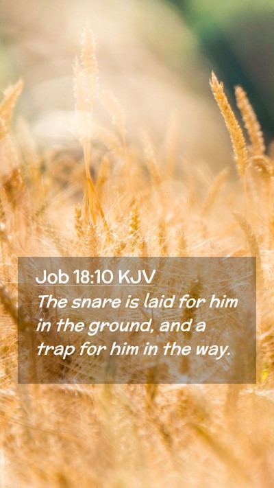 Picture 02 - Job 18:10 KJV Mobile Phone Wallpaper - The snare is laid for him in the ground, and a - Mobile Bible Verse Wallpaper