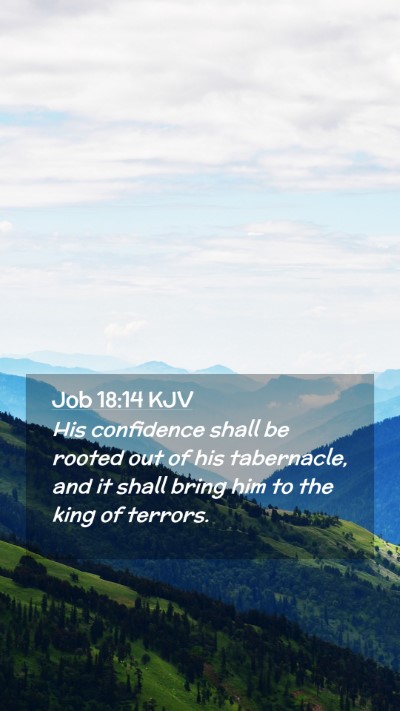 Picture 02 - Job 18:14 KJV Mobile Phone Wallpaper - His confidence shall be rooted out of his - Mobile Bible Verse Wallpaper