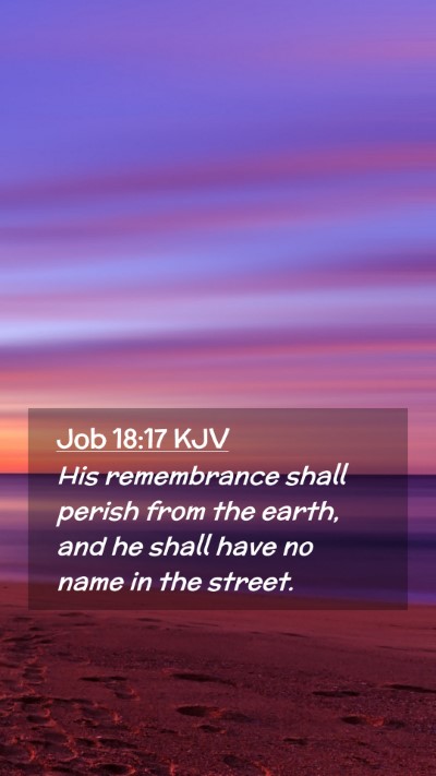 Picture 02 - Job 18:17 KJV Mobile Phone Wallpaper - His remembrance shall perish from the earth, and - Mobile Bible Verse Wallpaper