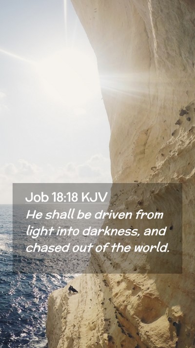 Picture 02 - Job 18:18 KJV Mobile Phone Wallpaper - He shall be driven from light into darkness, and - Mobile Bible Verse Wallpaper