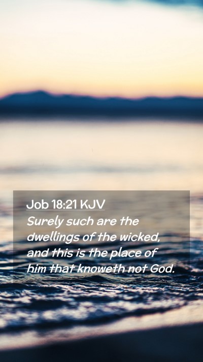 Picture 02 - Job 18:21 KJV Mobile Phone Wallpaper - Surely such are the dwellings of the wicked, and - Mobile Bible Verse Wallpaper