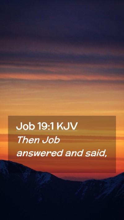 Picture 02 - Job 19:1 KJV Mobile Phone Wallpaper - Then Job answered and - Mobile Bible Verse Wallpaper
