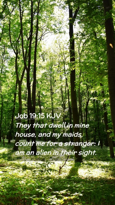 Picture 02 - Job 19:15 KJV Mobile Phone Wallpaper - They that dwell in mine house, and my maids, - Mobile Bible Verse Wallpaper