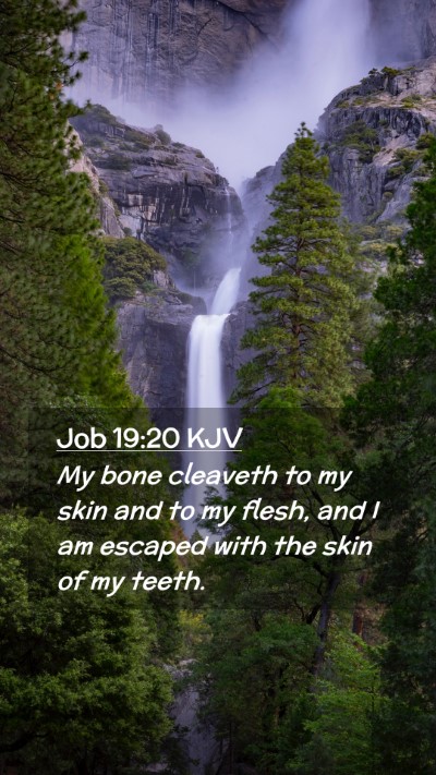 Picture 02 - Job 19:20 KJV Mobile Phone Wallpaper - My bone cleaveth to my skin and to my flesh, and - Mobile Bible Verse Wallpaper