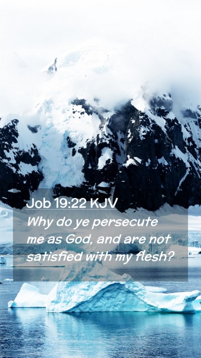 Picture 02 - Job 19:22 KJV Mobile Phone Wallpaper - Why do ye persecute me as God, and are not - Mobile Bible Verse Wallpaper