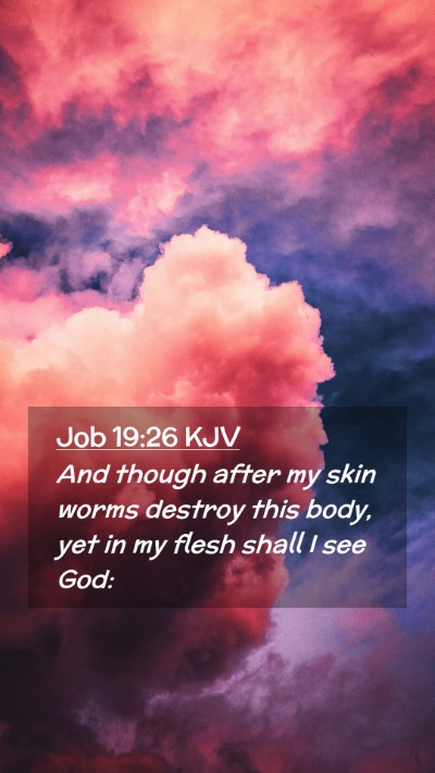 Picture 02 - Job 19:26 KJV Mobile Phone Wallpaper - And though after my skin worms destroy this body, - Mobile Bible Verse Wallpaper
