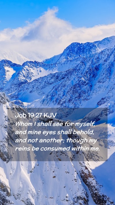 Picture 02 - Job 19:27 KJV Mobile Phone Wallpaper - Whom I shall see for myself, and mine eyes shall - Mobile Bible Verse Wallpaper