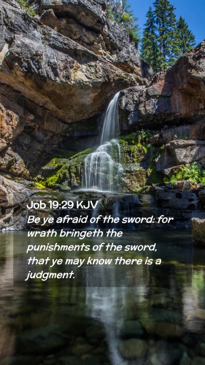 Picture 02 - Job 19:29 KJV Mobile Phone Wallpaper - Be ye afraid of the sword: for wrath bringeth the - Mobile Bible Verse Wallpaper