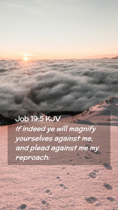 Picture 02 - Job 19:5 KJV Mobile Phone Wallpaper - If indeed ye will magnify yourselves against me, - Mobile Bible Verse Wallpaper