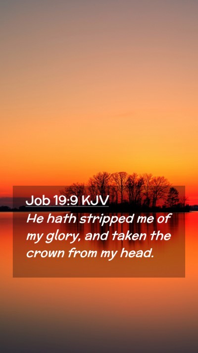 Picture 02 - Job 19:9 KJV Mobile Phone Wallpaper - He hath stripped me of my glory, and taken the - Mobile Bible Verse Wallpaper