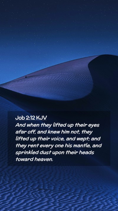 Picture 02 - Job 2:12 KJV Mobile Phone Wallpaper - And when they lifted up their eyes afar off, and - Mobile Bible Verse Wallpaper