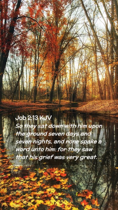Picture 02 - Job 2:13 KJV Mobile Phone Wallpaper - So they sat down with him upon the ground seven - Mobile Bible Verse Wallpaper