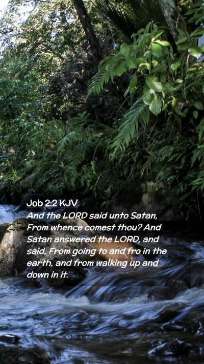 Picture 02 - Job 2:2 KJV Mobile Phone Wallpaper - And the LORD said unto Satan, From whence comest - Mobile Bible Verse Wallpaper