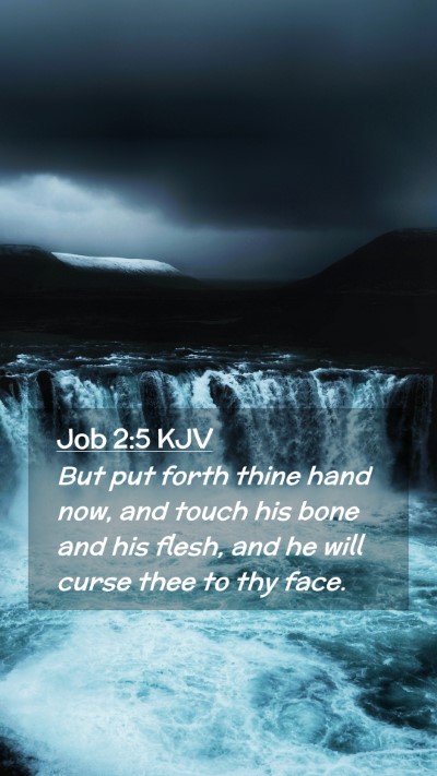 Picture 02 - Job 2:5 KJV Mobile Phone Wallpaper - But put forth thine hand now, and touch his bone - Mobile Bible Verse Wallpaper