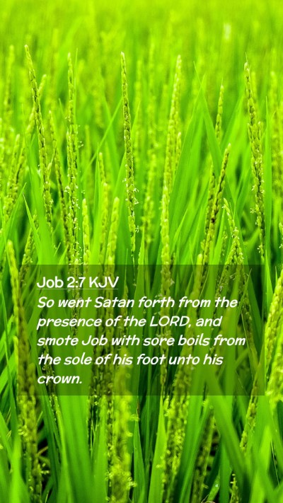 Picture 02 - Job 2:7 KJV Mobile Phone Wallpaper - So went Satan forth from the presence of the - Mobile Bible Verse Wallpaper