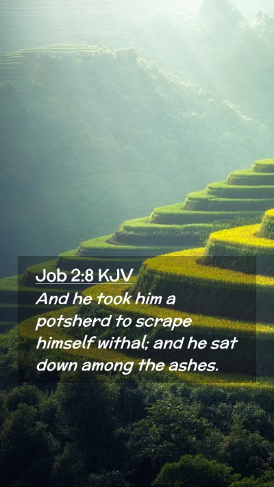 Picture 02 - Job 2:8 KJV Mobile Phone Wallpaper - And he took him a potsherd to scrape himself - Mobile Bible Verse Wallpaper