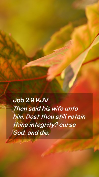 Picture 02 - Job 2:9 KJV Mobile Phone Wallpaper - Then said his wife unto him, Dost thou still - Mobile Bible Verse Wallpaper