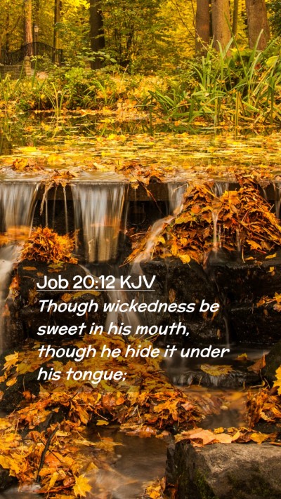 Picture 02 - Job 20:12 KJV Mobile Phone Wallpaper - Though wickedness be sweet in his mouth, though - Mobile Bible Verse Wallpaper